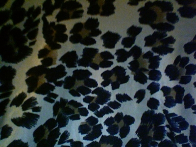 Awesome Leopard Spots!