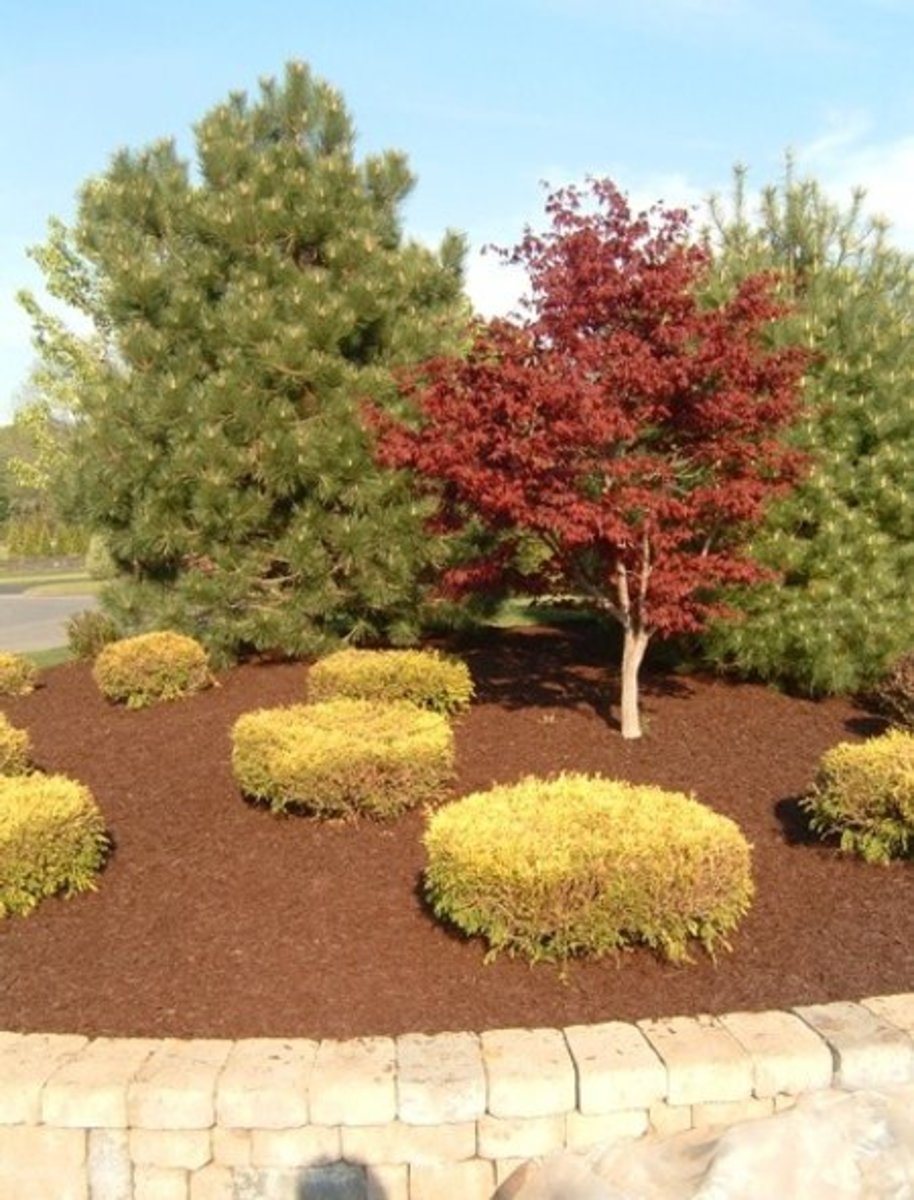 How To Choose The Best Mulch
