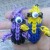 Minions Minions