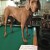 Dogs In The Pool . . table Dogs In The Pool . . table