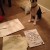 Doggy Diplomacy Doggy Diplomacy