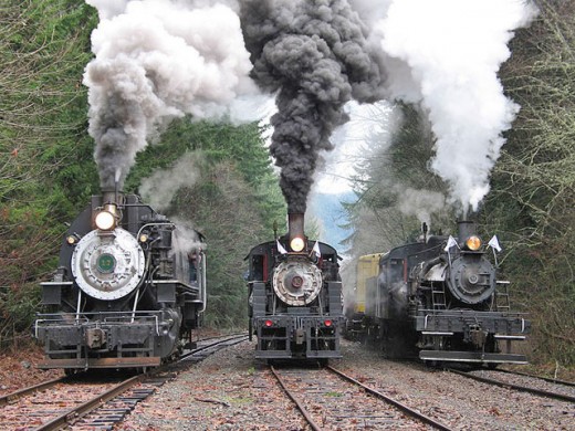 Mt. Rainier Scenic Railroad
