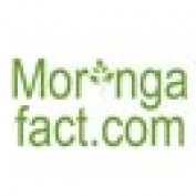 MoringaFact profile image
