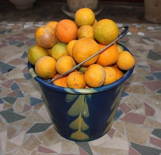 Free(Stolen) Oranges