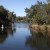 Linda Pedersen Park, Weeki Wachee, FL--lovely area for picnics AND viewing manatee heading to Weeki Wachee River and springs and mermaids! Linda Pedersen Park, Weeki Wachee, FL--lovely area for picnics AND viewing manatee heading to Weeki Wachee River and springs and mermaids!