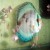 Discus Breeders - Mommy with young Discus Breeders - Mommy with young