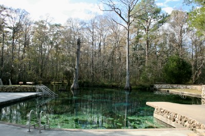 The pool is almost tapwater clear and you can see moss on the sandy bottom.The converging flow of two springs at the vortex of the pond produces 68 degree water all year long.