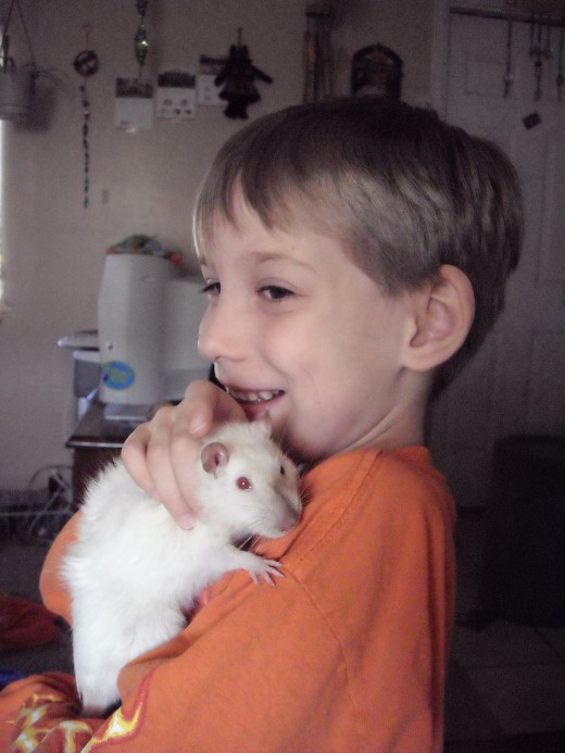 My little brother and his pet rat Starlight, before she passed away last year. 