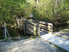 Wooden bridge across Sandy Creek to one of the nature trails at the Park.        credit:  Florida State Tourism Guide