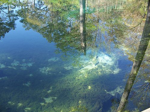 Ponce de Leon Springs.  Surely a glimpse into this beautiful mirror would reflect youthfulness!      credit: Ebyabe, photographer GFDS license