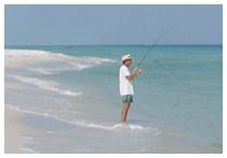 Top-sail Hill Preserve State Park,  a beautifully clear tourqoise gulf fishing  beach area.