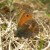 Small Heath Small Heath