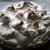 Topped with Meringue and baked at 350 degrees long enough to brown the peaks.
