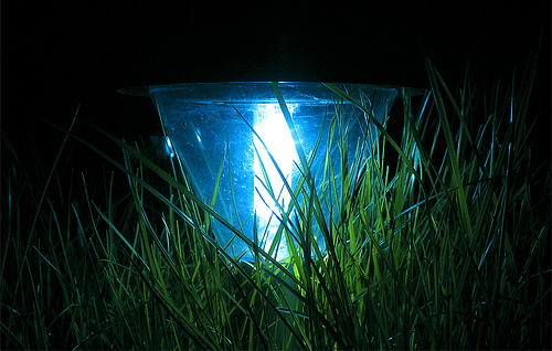 Blue LED solar-powered light set in tall grass