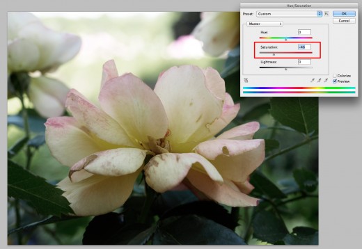 Reduce the image saturation to -46 or whatever looks good for the photo you are using
