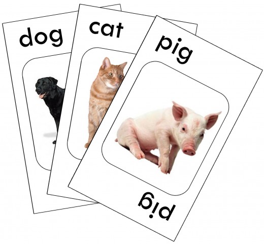 Go Fish cards that I made on the computer