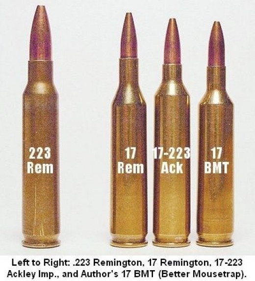 .17 Remington Centerfire Rifle Cartridge