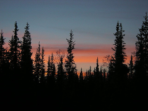 Sunset In The North Pole 