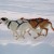 Santa's Emergency Sled Dogs 