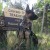 Wyatt Ray Dawg on the Colorado Trail.
