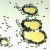 With the right ant bait set, you'll have this kind of patronage in a few hours. With the right ant bait set, you'll have this kind of patronage in a few hours.