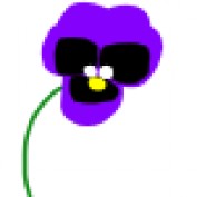 PurplePansy LM profile image