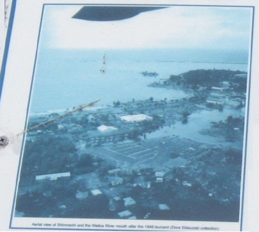Blow-up of aerial view of Shinmachi neighborhood in Hilo, Hawaii following 1946 tsunami.