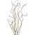 Curly Willow. Take a close look at many tall centrpieces and you'll see that a lot of the height comes from the use of this inexpensive filler. No colour, but still useful. Curly Willow. Take a close look at many tall centrpieces and you'll see that a lot of the height comes from the use of this inexpensive filler. No colour, but still useful.