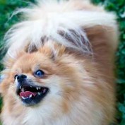 CoCo Bean profile image