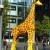 Legoland Legoland