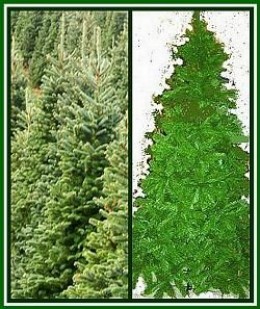 REAL or ARTIFICIAL?