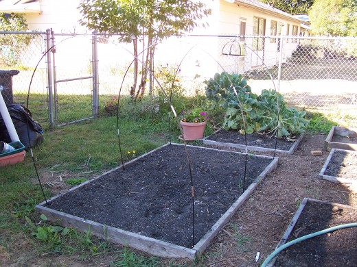 Grow your own and cut down on food costs