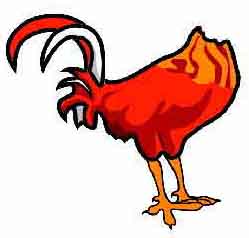 Headless Chicken
