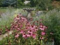 Garden in County Conwy: Bodnant Garden