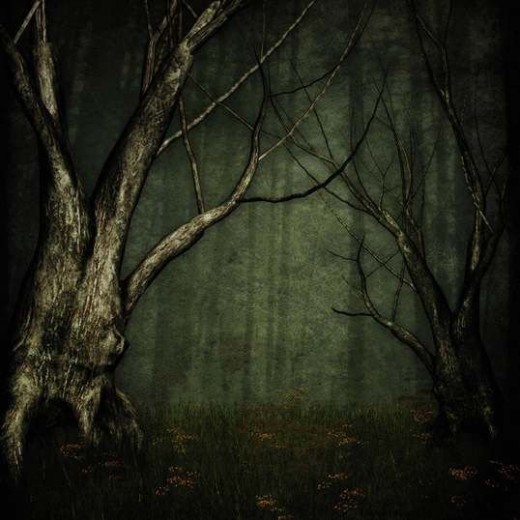 Image by Brenda Starr
