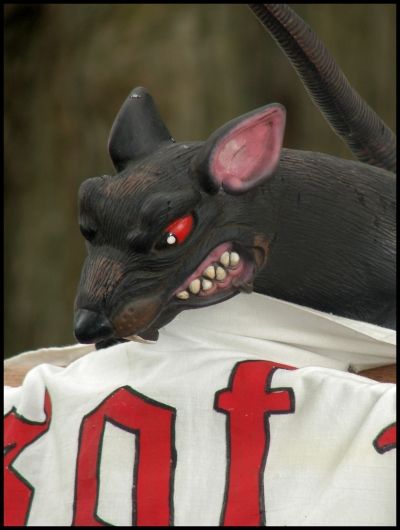 Angry Pirate Rat ARRRGH!