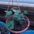 A strawberry plant left over from last year that lived through winter. You can see it is doing very well, but I have yet to get any berries out of it. I like the foliage so it will remain in my garden. The tubes are a new drip system I installed rece