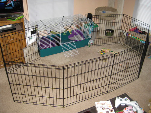 Shows pens in corner wrapped around the pet bed area.