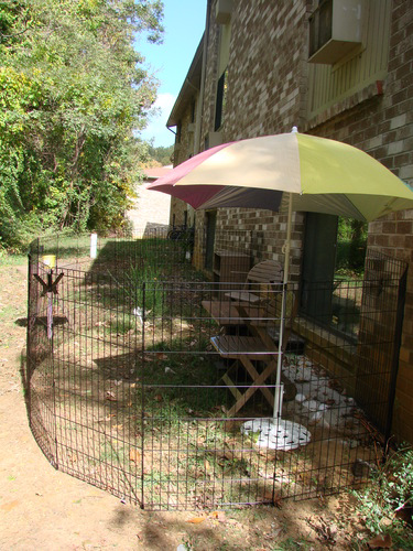 Use exercise pen outdoors with pet supervision.  Always provide shade and water if a pet is outdoors.