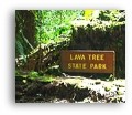 Lava Tree State Park