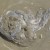 Jellyfish on a beach in the Vendee Coast, France Jellyfish on a beach in the Vendee Coast, France