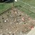 A garden done in Lasagna and filled entirely with bulbs and perennial plants. Work once, enjoy many! A garden done in Lasagna and filled entirely with bulbs and perennial plants. Work once, enjoy many!