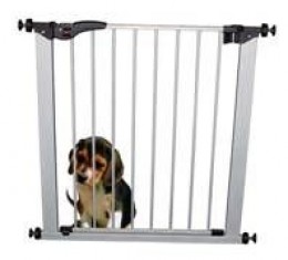 Indoor Dog Gates: Making the Right Choice Just Got Easier