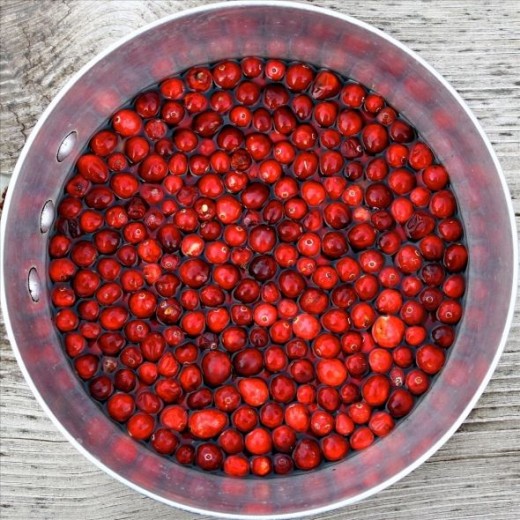 Bowl of cranberries