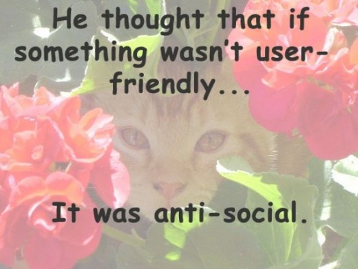Anti-Social Cat