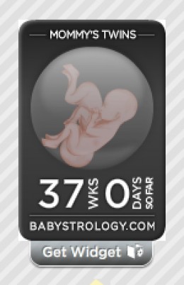 pregnancy countdowns for myspace pregnancy countdowns for myspace