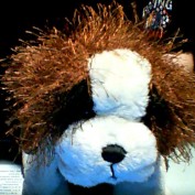Thomas.B profile image