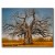 Wrapped Canvas Baobab tree Wrapped Canvas Baobab tree