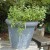 Pretty pot Pretty pot