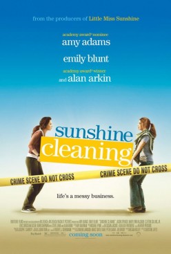 Sunshine Cleaning In Review